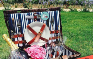 Undurraga (Tour Picnic)