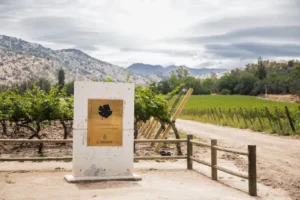 Santa Rita (Tour del Carmenere)